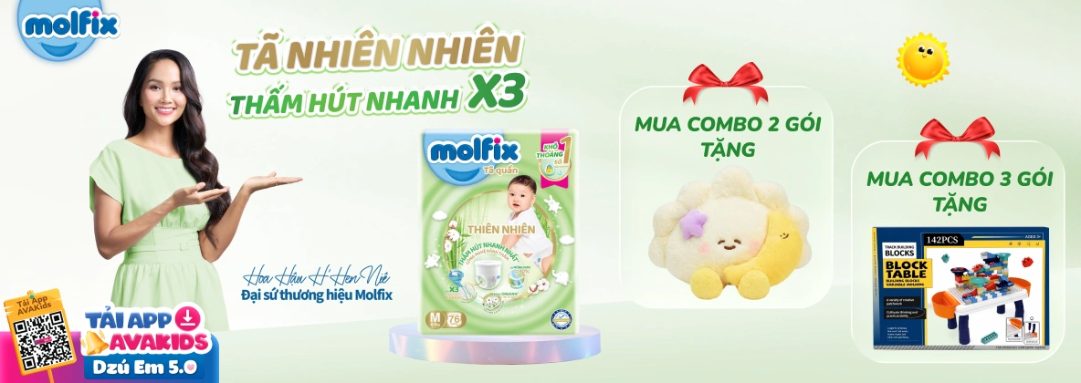 Banner Molfix